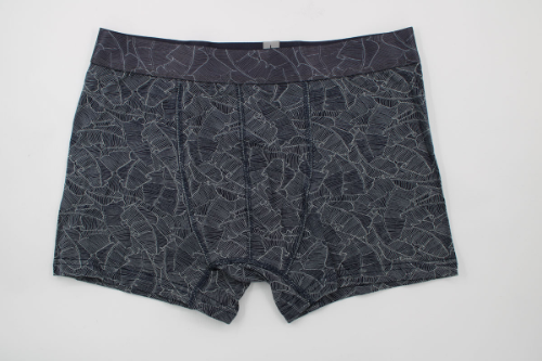 Resim Yenikoza Erkek Boxer