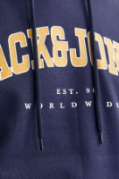 Resim Jack & Jones Jjecaleb Varsıty Sweat Hood Noos Erkek Sweat 12256521