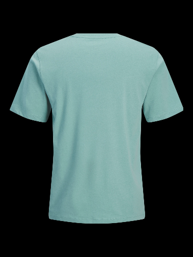 Resim Jack & Jones Jjcole Prınt Tee Ss Crew Neck Ln Erkek T-Shirt 12288492