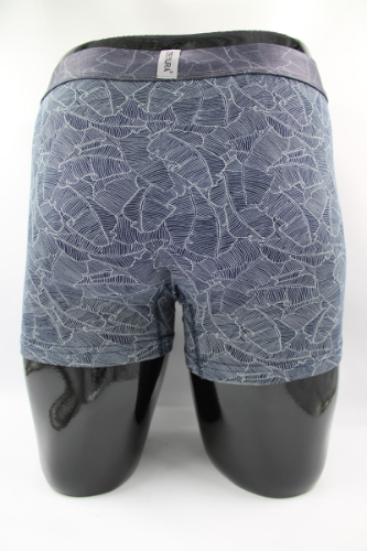 Resim Yenikoza Erkek Boxer