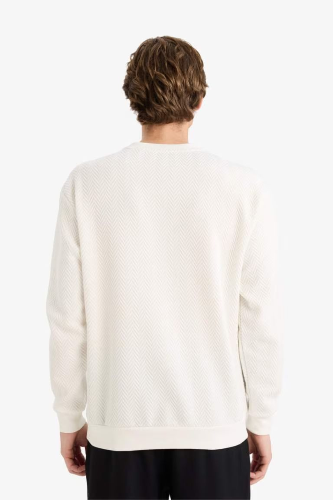 Resim Defacto Erkek Sweat F9854AX/WT32