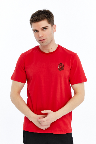 Resim Yenikoza Erkek T-shirt