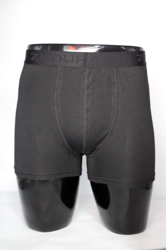 Resim Yenikoza Erkek Boxer