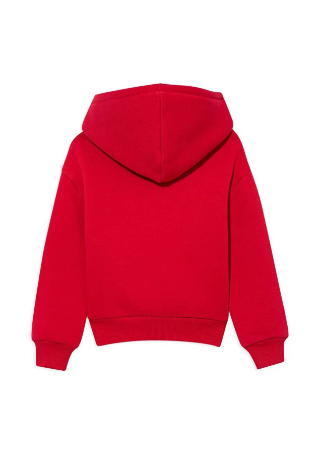 Resim Mavi Baskılı Kapüşonlu Erkek Çocuk Sweat M6610110-70464