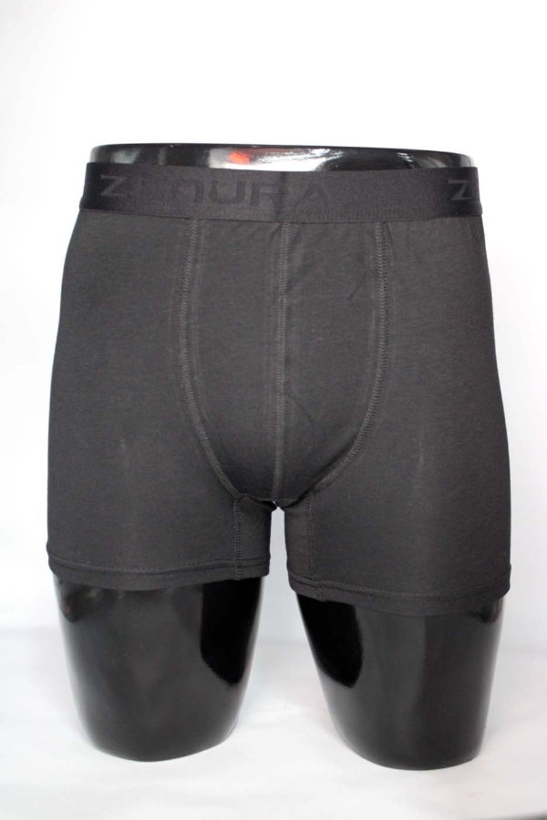 Resim Yenikoza Erkek Boxer