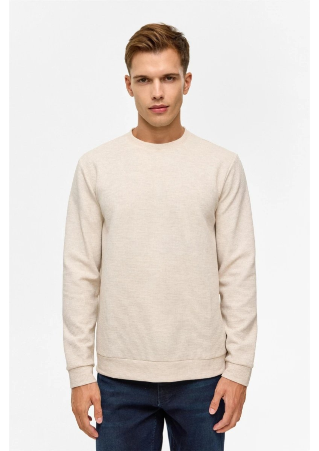 Resim SW2013700005 O Yaka Waffle Erkek Sweat