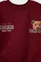 Resim Defacto Erkek Bebek Sweat Takım G5203A5/BR285