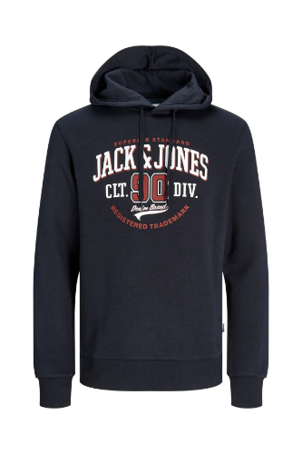 Resim Jack & Jones Jjelogo Sweat Hood 2 Col 24/25 Noos Erkek Sweat 12255617