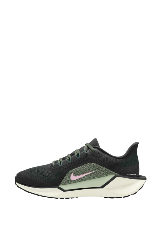 Resim Nike W Air Zoom Pegasus 41 Kadın Spor Ayakkabı Fd2723-009