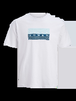 Resim Jack & Jones Jcofusıon Dots Prınt Tee Ss Crew Sn Erkek T-Shirt 12289863