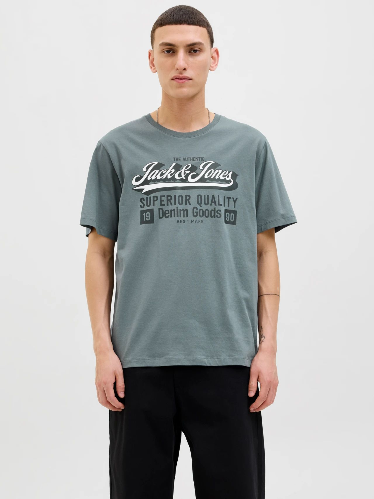 Resim Jack & Jones Jjelogo Tee Ss O-Neck 2 Col  Erkek T-Shirt 12279535