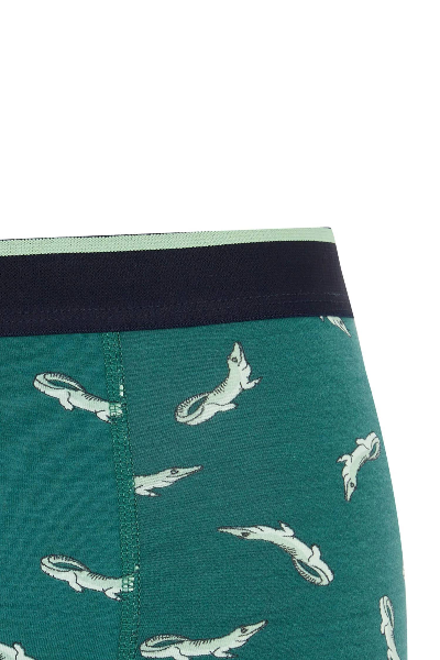 Resim Defacto Erkek Boxer&Külot Z6137AZ/GN651