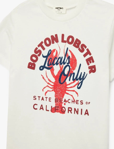 Resim Koton Erkek Çocuk T-shirt 6SKB10128TK