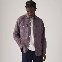 Resim Levis Erkek Gömlek