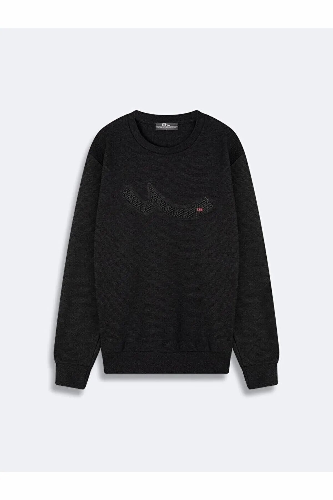 Resim Yenikoza Erkek Sweat