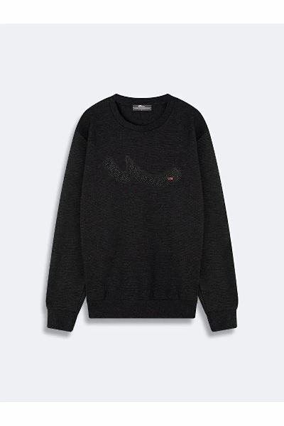 Resim Yenikoza Erkek Sweat