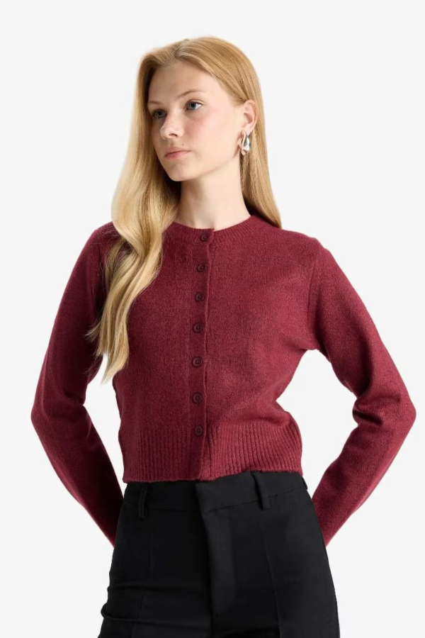 Resim Defacto Kadın  Hırka E8236AX/BR466