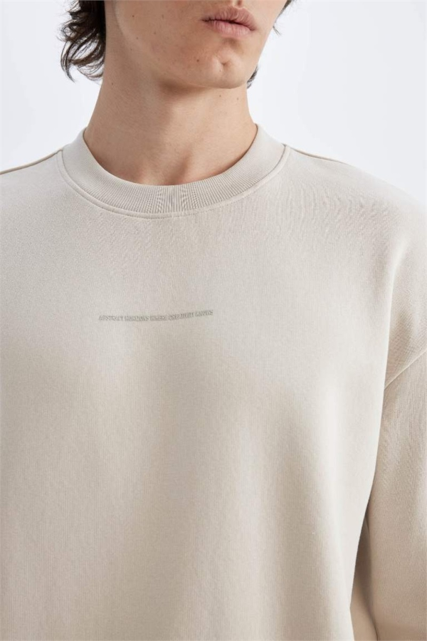 Resim Defacto Erkek  Sweat X8282AZ/BG766