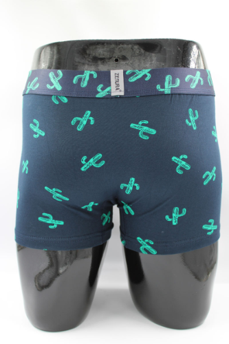 Resim Yenikoza Erkek Boxer