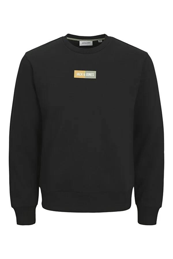 Resim Jack & Jones Jjpan Sweat Crew Neck Erkek Sweat 12278617
