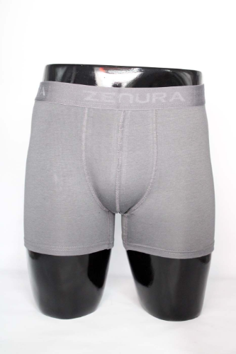 Resim Yenikoza Erkek Boxer