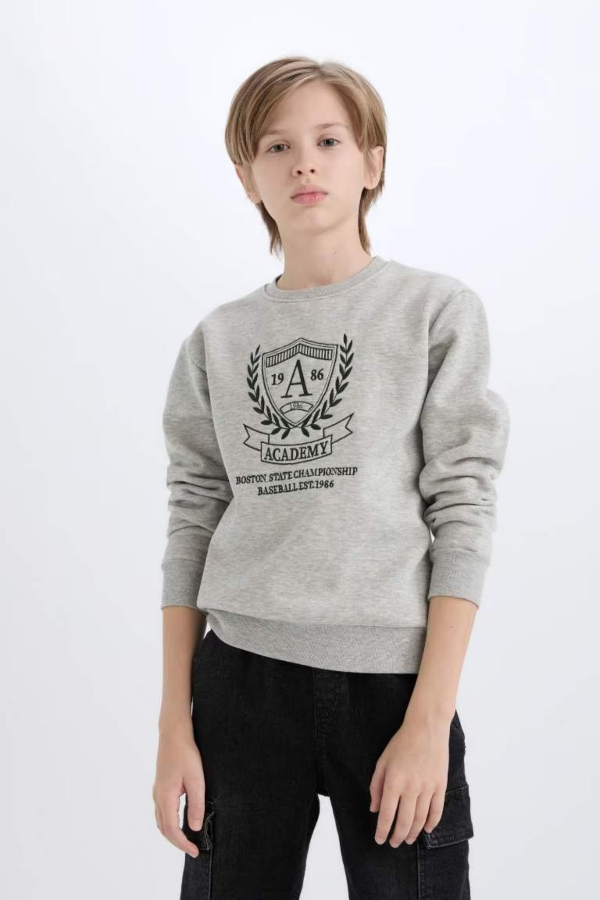 Resim Defacto Erkek Çocuk  Sweat D6223A8/GR210