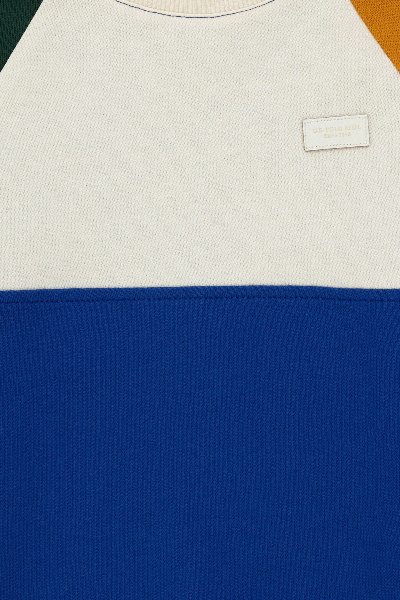 Resim U.S. Polo Assn. Erkek Çocuk Sweat 1946220 Leduckıds