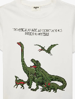 Resim Koton Erkek Çocuk T-shirt 6SKB10172TK