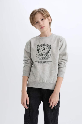 Resim Defacto Erkek Çocuk  Sweat D6223A8/GR210