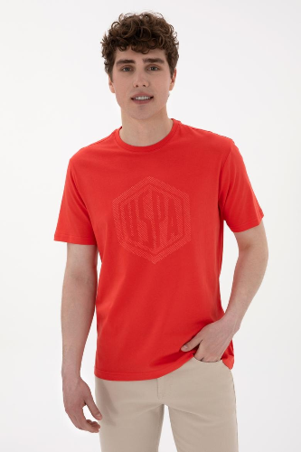 Resim U.S. Polo Assn. Erkek T-Shirt 2107294 Gaston