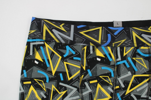 Resim Yenikoza Erkek Boxer