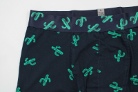 Resim Yenikoza Erkek Boxer