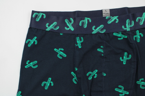 Resim Yenikoza Erkek Boxer