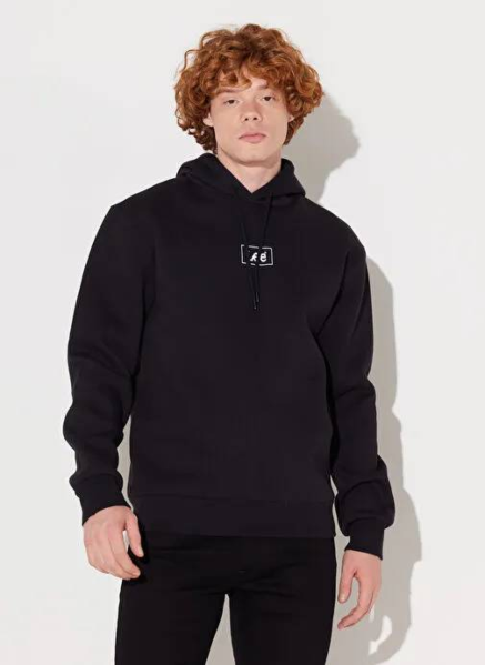 Resim Lee Mid Logo Hoodie Erkek Sweat L212302001