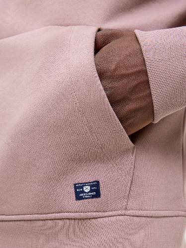 Resim Jack & Jones Jprbluloyal Sweat Hood Prau25 Erkek Sweat 12285635