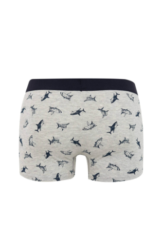 Resim Defacto Erkek Boxer
