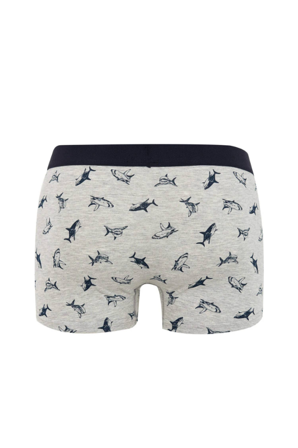 Resim Defacto Erkek Boxer