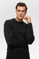 Resim Süvari Desenli O Yaka  Uzun Kol Trikol Erkek Kazak TR2013700482