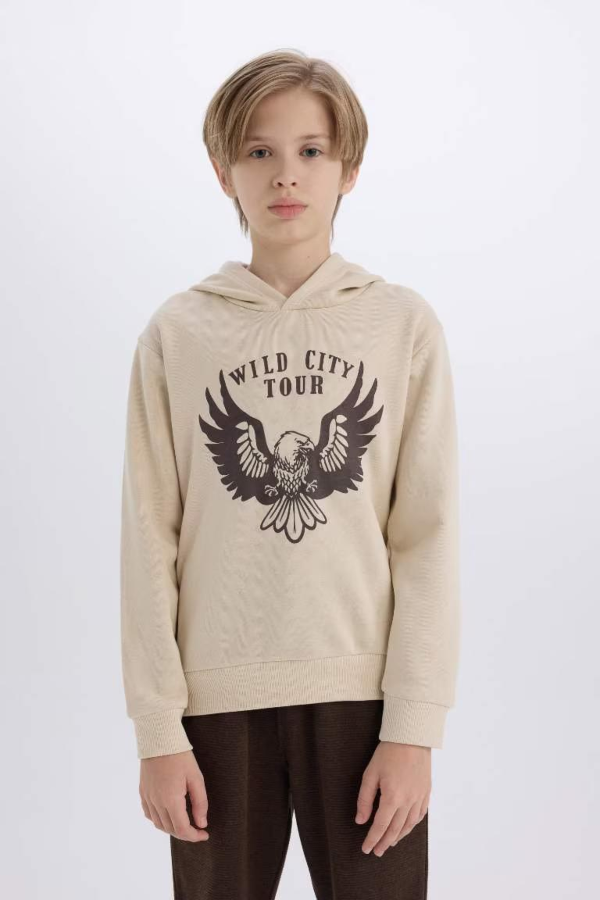 Resim Defacto Erkek Çocuk  Sweat Takım E1931A8/BG74