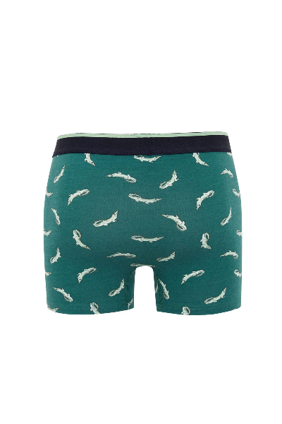 Resim Defacto Erkek Boxer&Külot Z6137AZ/GN651