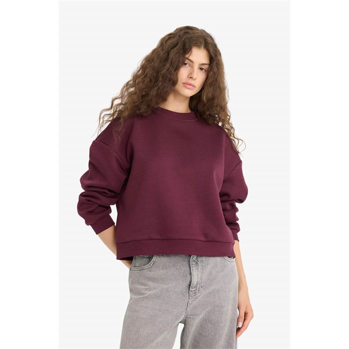 Resim Defacto Kadın  Sweat D6645AX/BR232