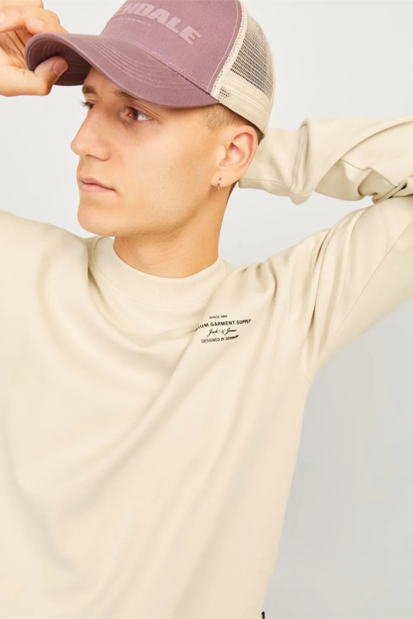 Resim Jack & Jones Jprblachad Brandıng Sweat Crew Neck Ln Erkek Sweat 12261386