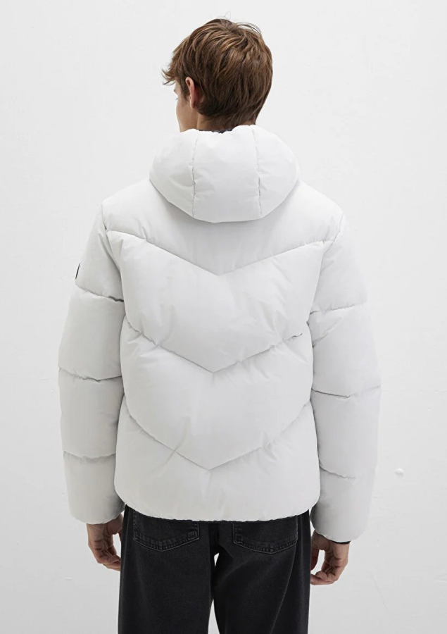 Resim Mavi Kapüşonlu Erkek Mont M0110360-83746