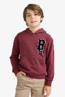 Resim Defacto Erkek Çocuk  Sweat F2714A8/BR194