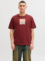 Resim Jack & Jones Jorcatskılls Square Brandıng Tee Ss Cn Erkek T-Shirt 12290856