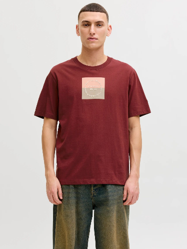 Resim Jack & Jones Jorcatskılls Square Brandıng Tee Ss Cn Erkek T-Shirt 12290856