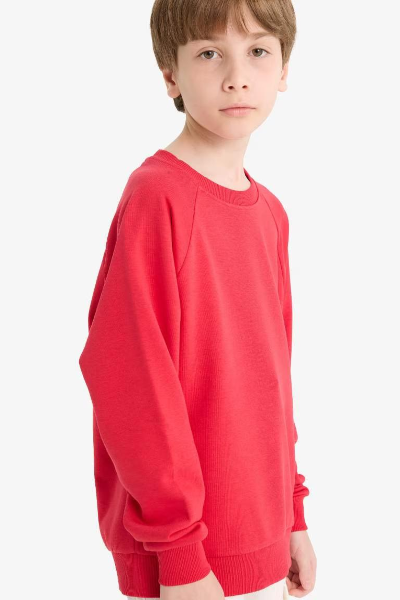 Resim Defacto Erkek Çocuk  Sweat E8415A8/RD282