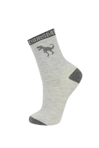 Resim Defacto Erkek Çocuk Çorap