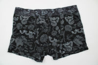 Resim Yenikoza Erkek Boxer