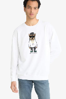 Resim Defacto Erkek  Sweat E9331AX/WT34